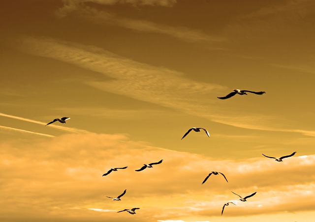 ¿Qué es el aire?