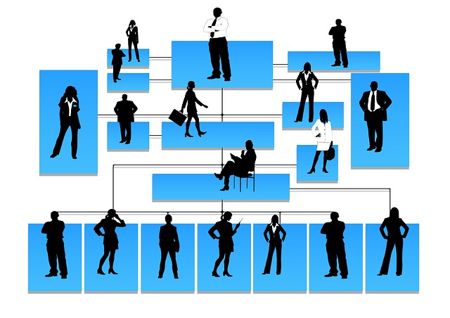 ¿Qué es un organigrama?