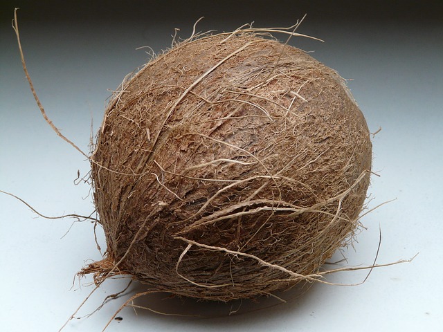 ¿Qué es  un cocotero?