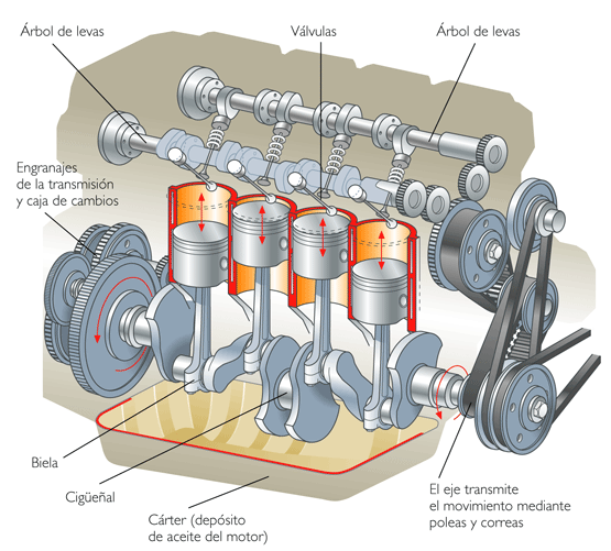 Motor de explosión : Despiece