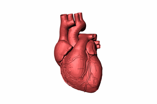 El corazón humano