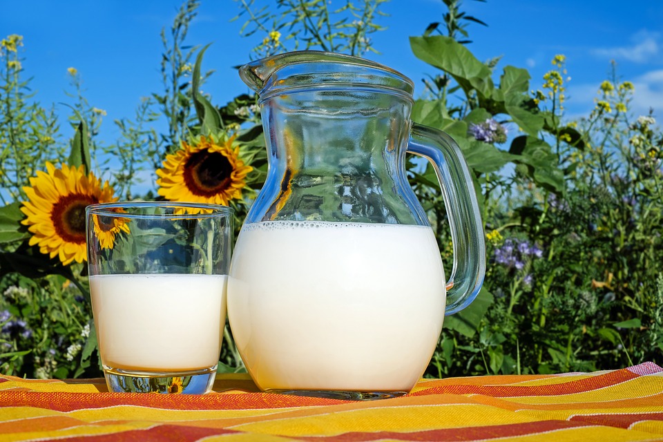 Los componentes de  la leche