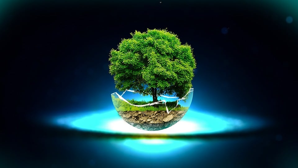 Imaginación y fantasía