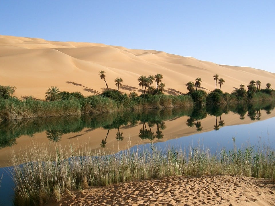 ¿Qué es un oasis?