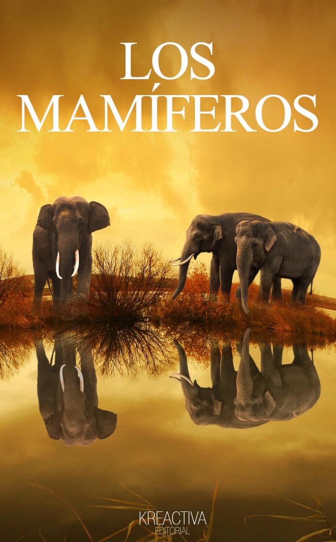Los MamIferos - Libro digital