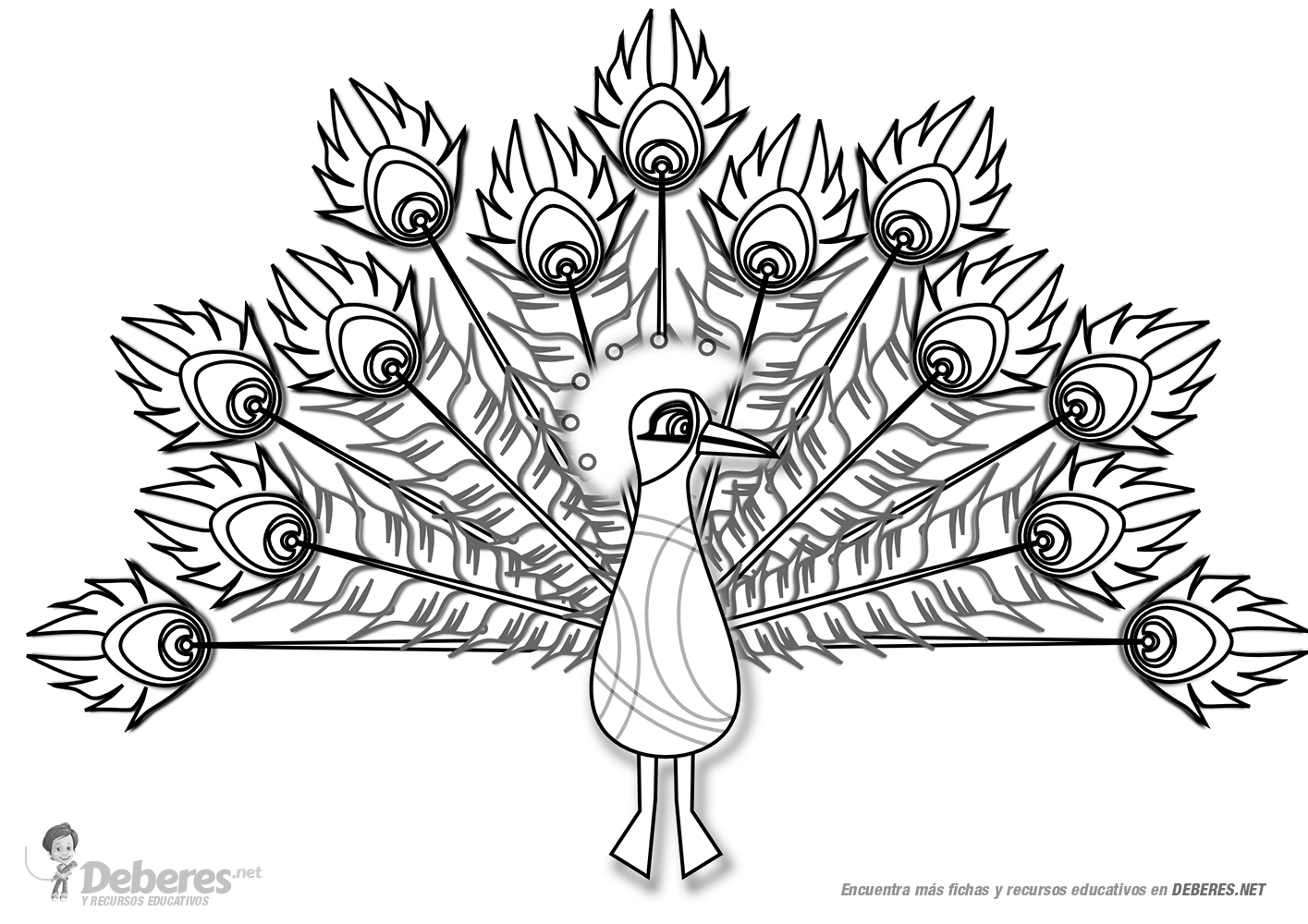 Pavo Real para colorear