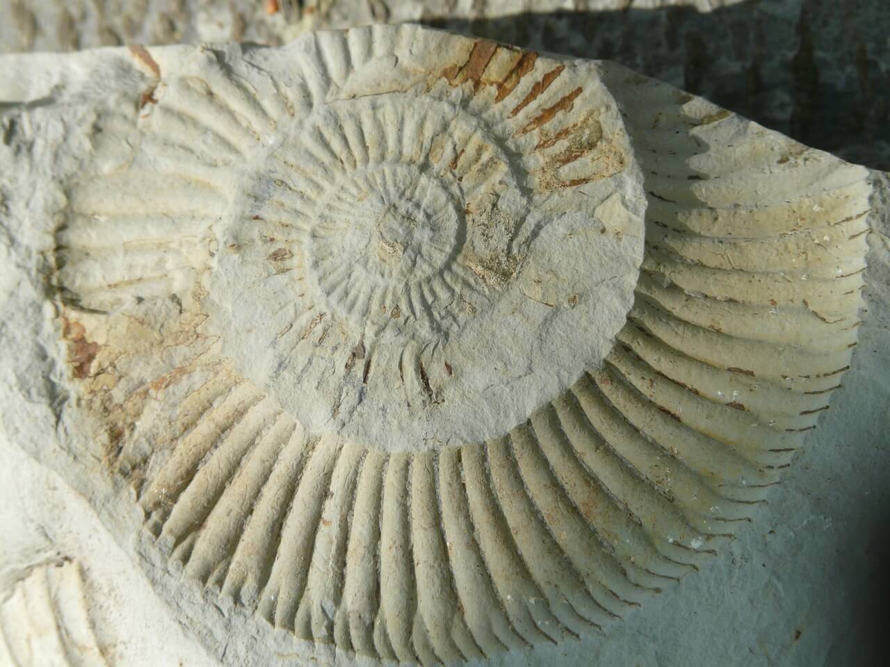 La Tierra: origenes, y curiosidades