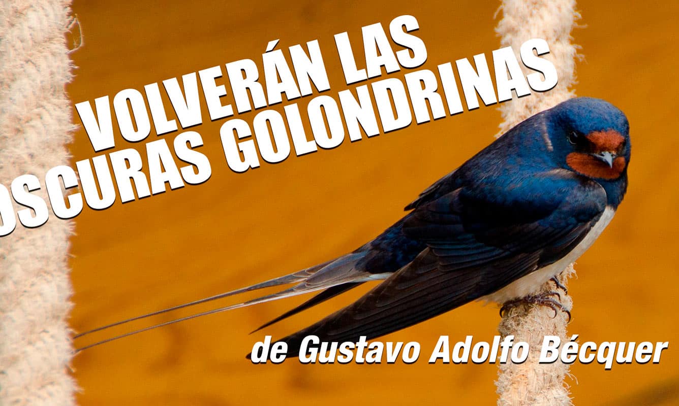 Volverán las oscuras golondrinas de Becquer