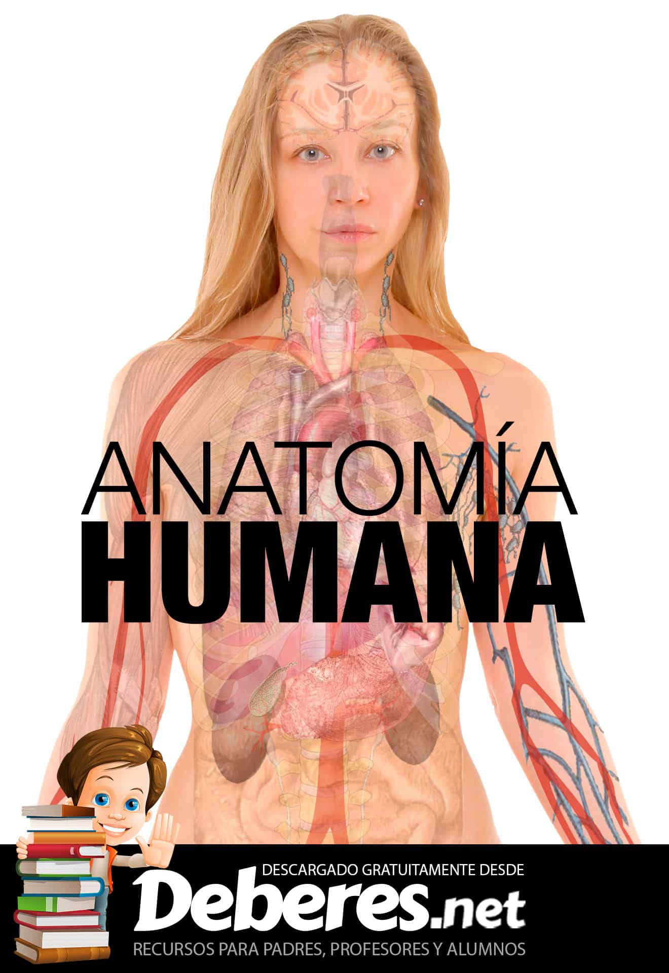 Anatomía humana - Libro gratis