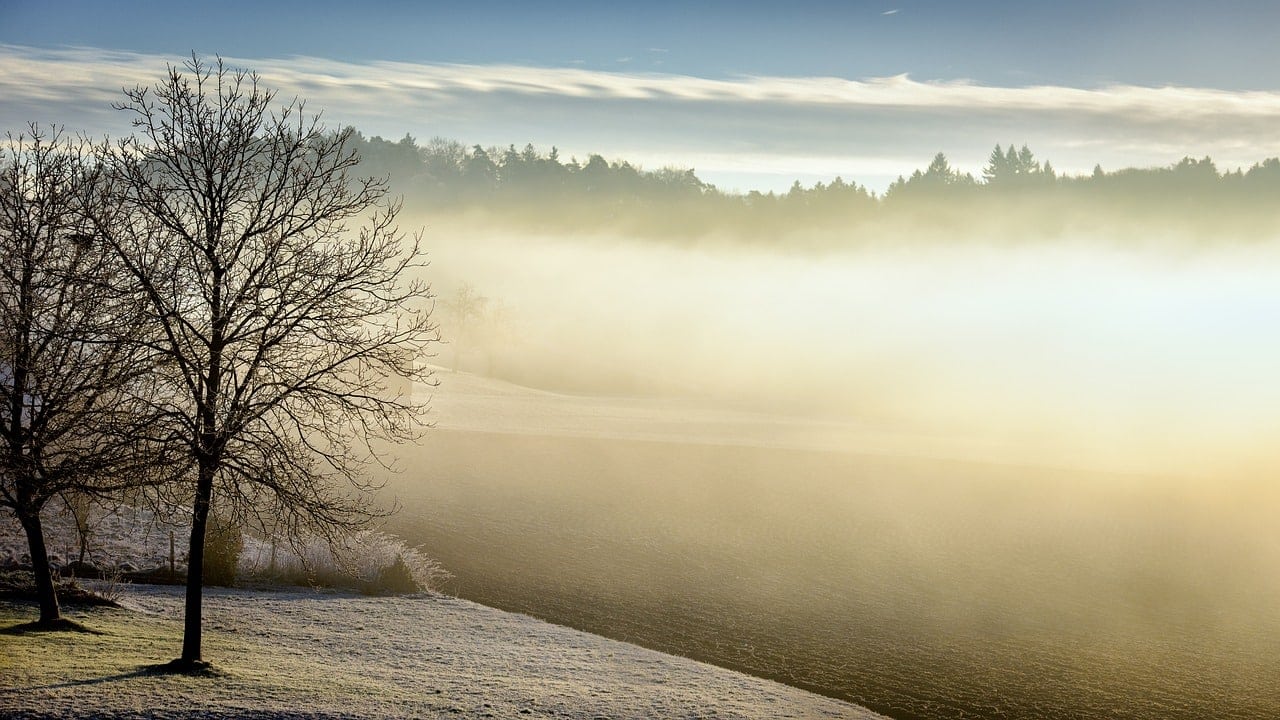 Paisaje invernal