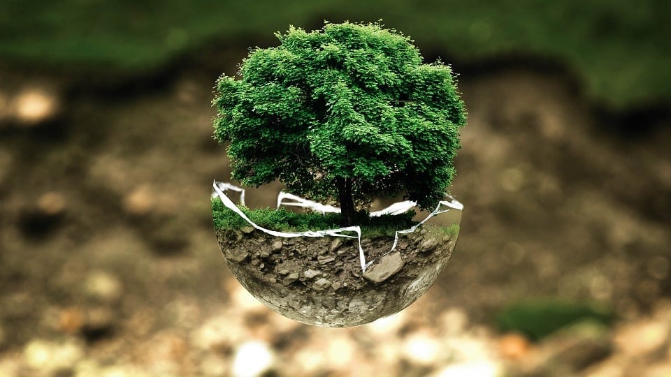 El equilibrio natural