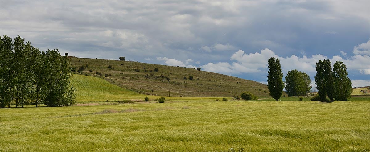 Campos de Castilla a los que cantó Machado