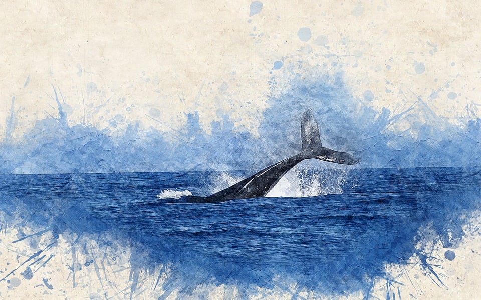 Moby Dick: Resumen y argumento
