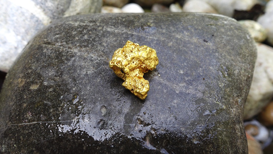 La fiebre del oro