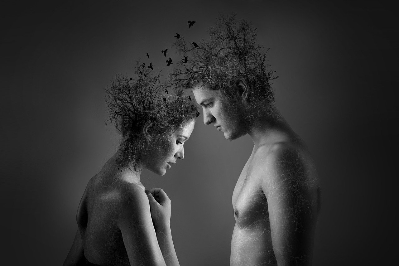Citas y Frases sobre el AMOR