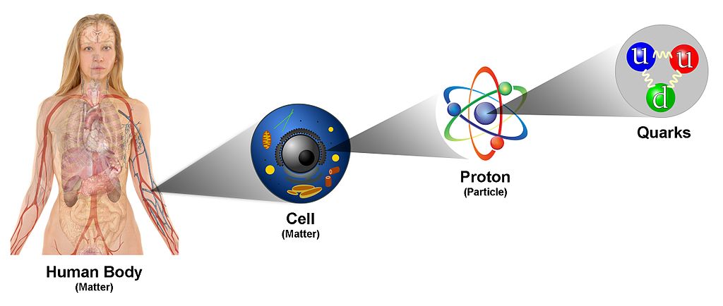 Los Quarks, tipos de Quarks y descubrimiento