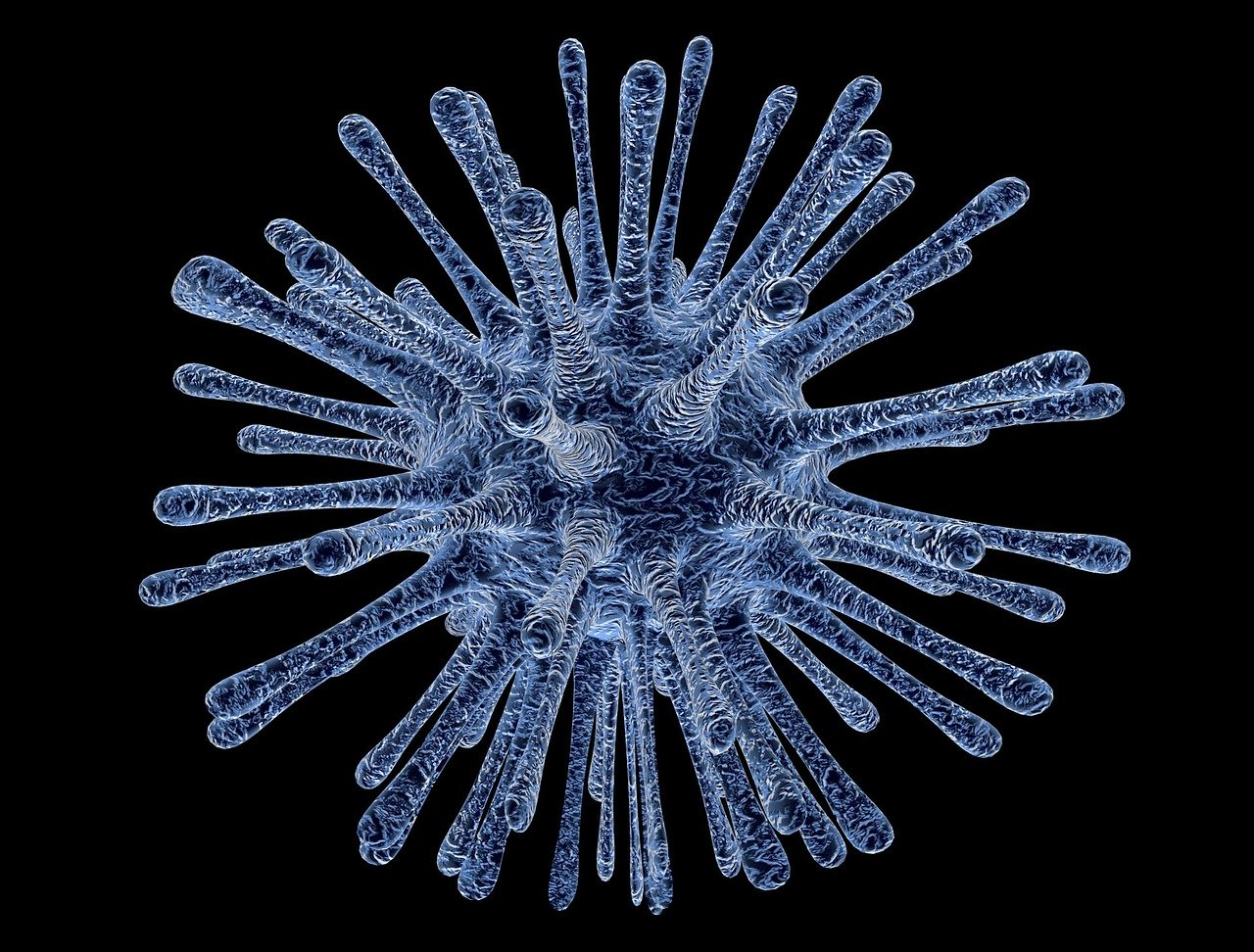 Diferencias entre virus y bacterias
