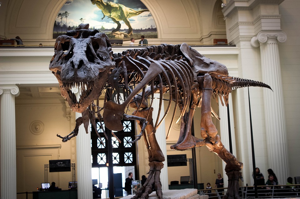 Teorías de la evolución antes de Darwin