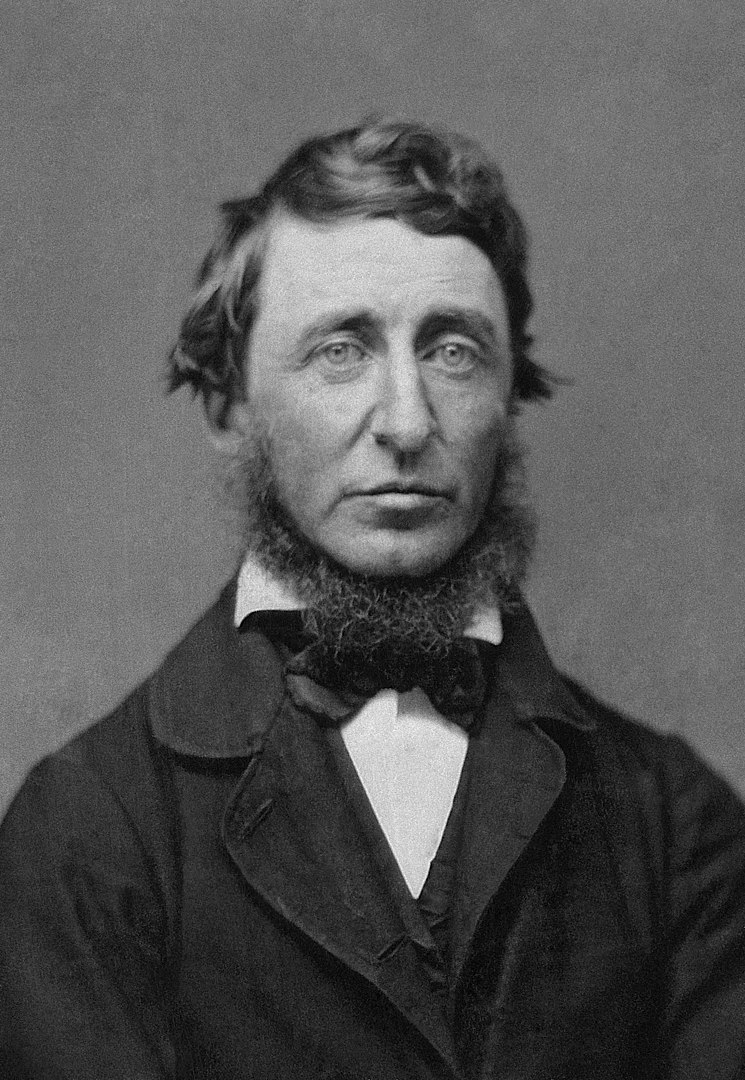 HENRY DAVID THOREAU: Citas y frases célebres